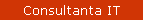 Consultanta IT