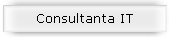Consultanta IT