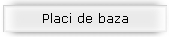 Placi de baza