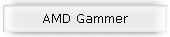 AMD Gammer
