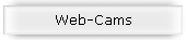 Web-Cams